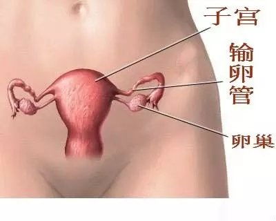 肚子痛的,需要赶快看一下