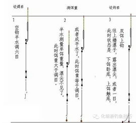 史上最全面的新手钓鱼攻略,老手绕道 鲫鱼 