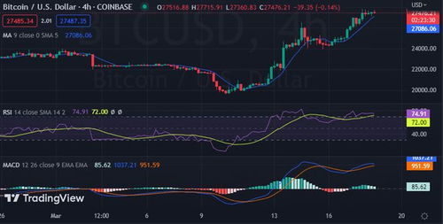 比特币实时走势分析—btc美元行情最新价格