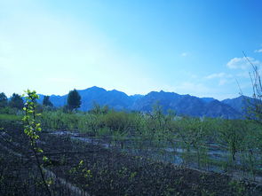 邂逅大雁滩,醉美敕勒川 大雁滩景区位于内蒙古包头市土