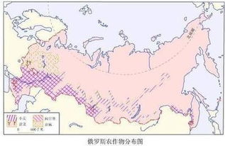 俄罗斯的主要农业地带分布在