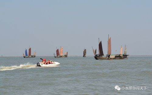 来湖州旅游,只有一天的时间应该如何安排 这份游玩攻略请收下