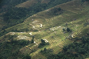 田园风景图片大全（田园风景图片大全乡村）