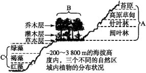 从浅水区到深水区，是群落的水平结构还是垂直结构？