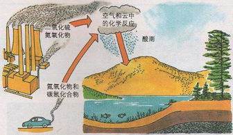 酸雨的三大危害 