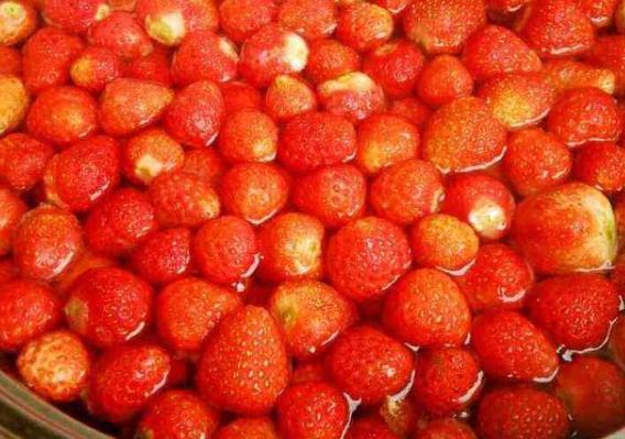 草莓罐头一般能存多久