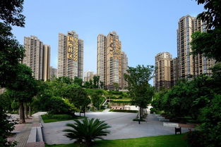 重庆国际社区房价多少！重庆国际社区有多少栋