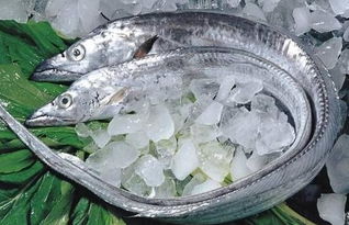 怎样洗带鱼又快又干净 带鱼在冰箱里能放多久
