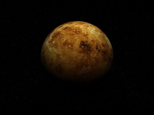 第二个生命迹象 金星赤道发现大量甘胺酸