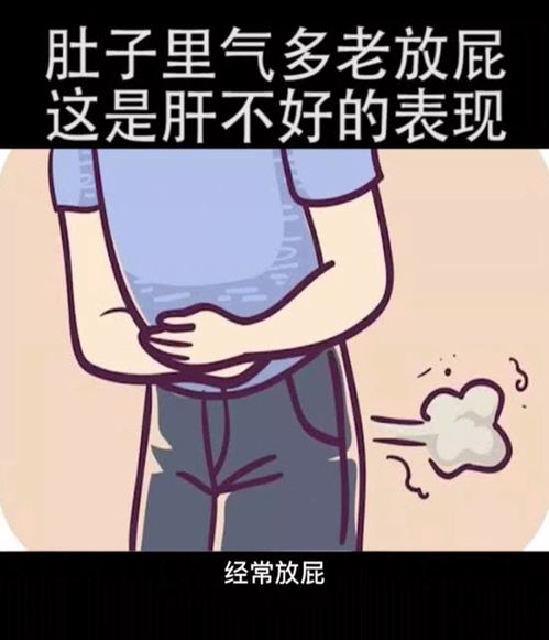 肚子里有气 经常放屁 这是肝不好的表现 