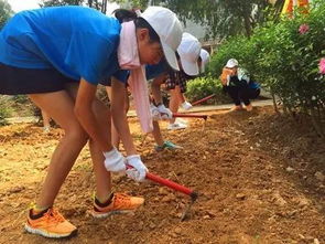 磨砺伴随成长 记温州市第十九届中学生吃苦磨炼夏令营