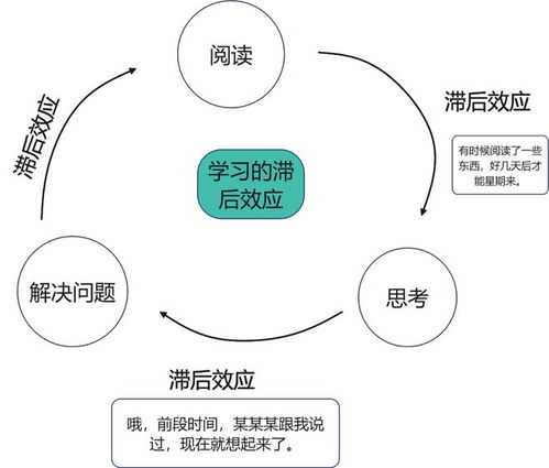 提升解决实际问题能力的方法与技巧