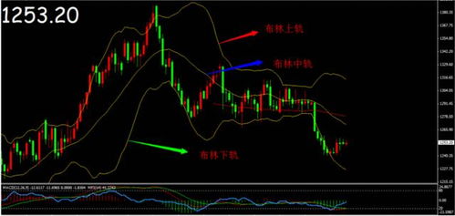 布林线是哪根 细解 要图