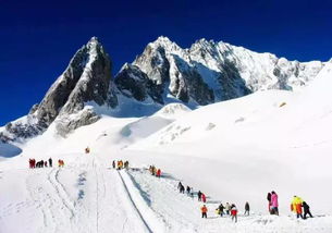 向往的生活 昆明石林 大理洱海 丽江古城 玉龙雪山双飞六日游