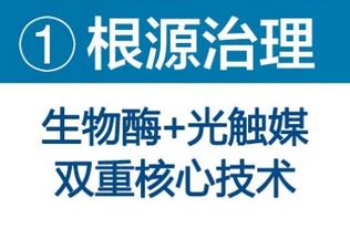 甲醛治理哪家公司比较靠谱 