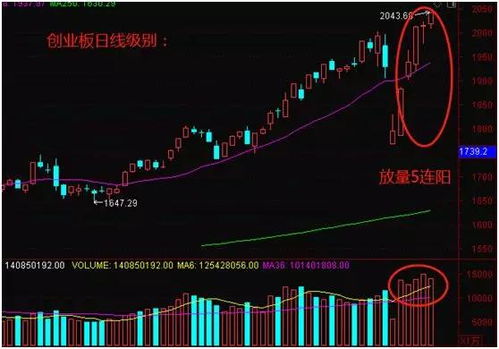 如果股票密码被盗有何危险？