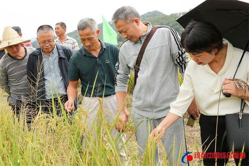 农民专业合作社属于什么企业类型 农民专业合作社属于什么企业类型开户