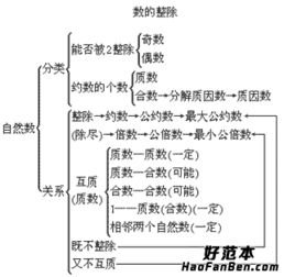 数与数之间的关系图,详细点 