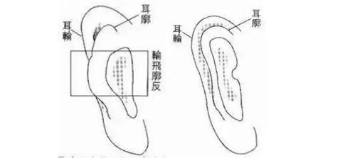 旺老婆的男人面相