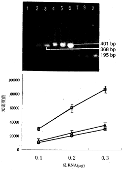 半定量pcr原理 mrna表达量水平