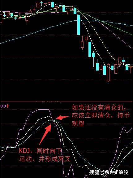 ssrp指标如何使用