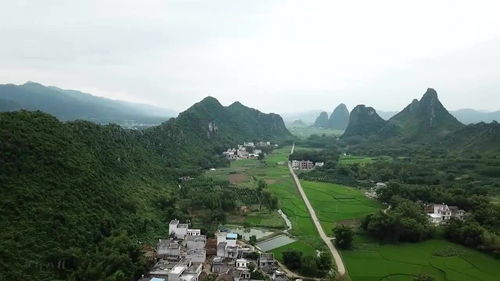 有先生道明此地有风水宝地,你能一眼定出在什么地方吗 