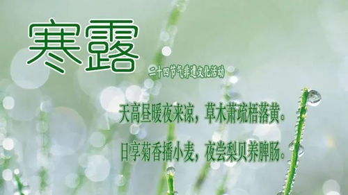 暖心的寒露节气快乐祝福语精选 寒露问候发朋友圈的说说带图片