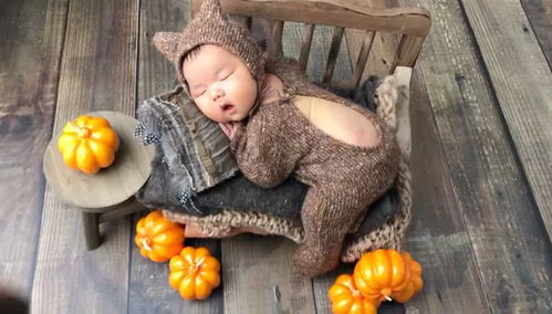冬眠的新生儿小熊 