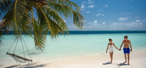 马尔代夫比亚度岛浪漫的热带岛屿美景（马尔代夫最著名的度假岛）
