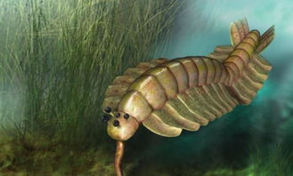 4亿年前的远古巨蝎被发现,体长达2米,性情异常凶猛