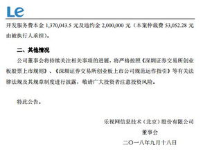 乐视网被列入失信被执行人名单：未按期支付推广费软件开发费