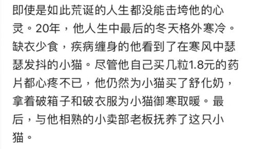 B站UP主墨茶确认身亡 在隐秘的角落,有人过着意想不到的人生