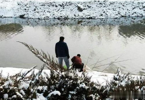 冬季下雪天能不能钓鱼 高手 掌握这几个技巧,下雪天也能爆护