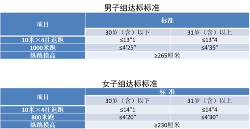 龙岩交警网违章查询