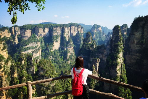 去张家界旅游怎么找靠谱导游 自助游,自驾游,自由行 