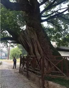 选购旺宅,注意风水形煞 二 海德堂 