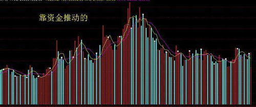 A股市场怎么了？为什么亏损公司的股票反而不断暴涨？