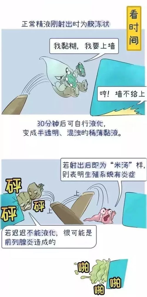 你的精子质量合格吗