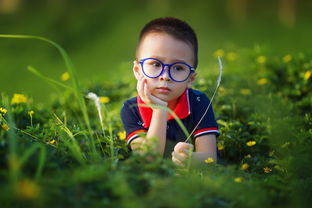 幼儿适宜种植的蔬菜品种（幼儿园小朋