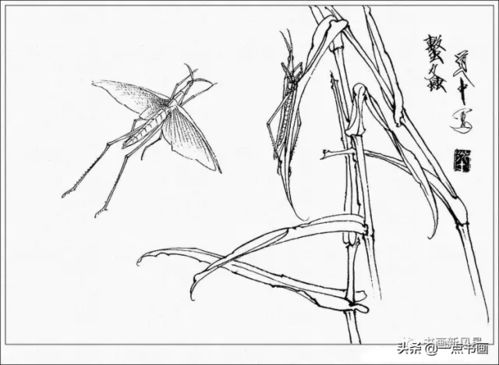 详细的工笔花卉配色与花叶染法