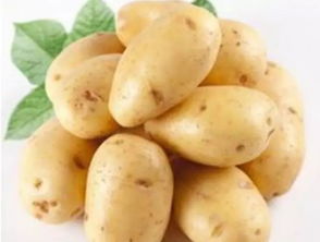 土豆如今成了营养学家青睐的蔬菜明星,被认为是世界上最伟大的食物之一 