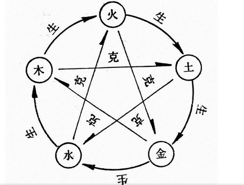 文都2017执业药师中药学综合知识与技能高频考点 一 