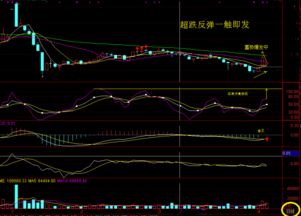 股票年报与分红派股有无关系