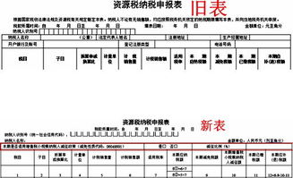 没有销货没有交税，那么地税收纳税申报表中，印花税、教育附加等是否为零？