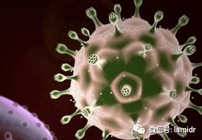 hiv病毒是什么