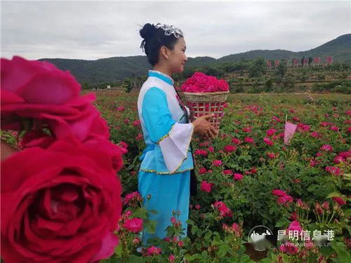 花花世界 住进云南的春天是什么感觉