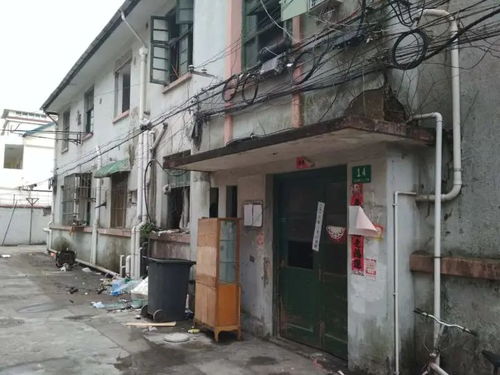 不是旧改胜似旧改 上海中心城区7幢老房拆除重建,153户居民喜提新家