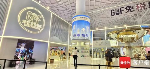 海南控股将携 机场 免税 两大板块亮相第二届消博会 