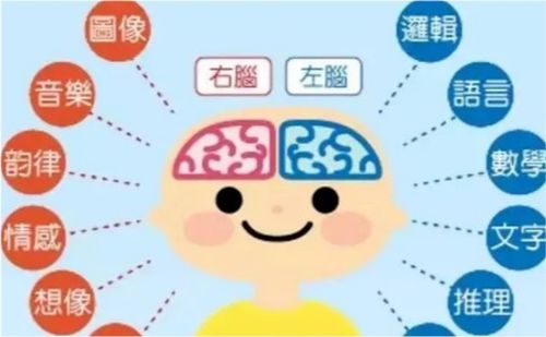 右脑开发早,智商才会高 , 4 种方法开发孩子右脑,家长收藏好
