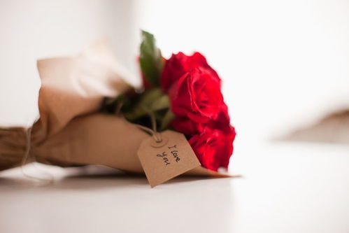 如果爱情有香气,调香师的首选是玫瑰